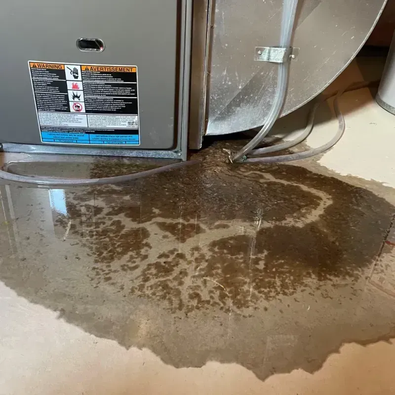 Appliance Leak Cleanup in Ferndale, CA